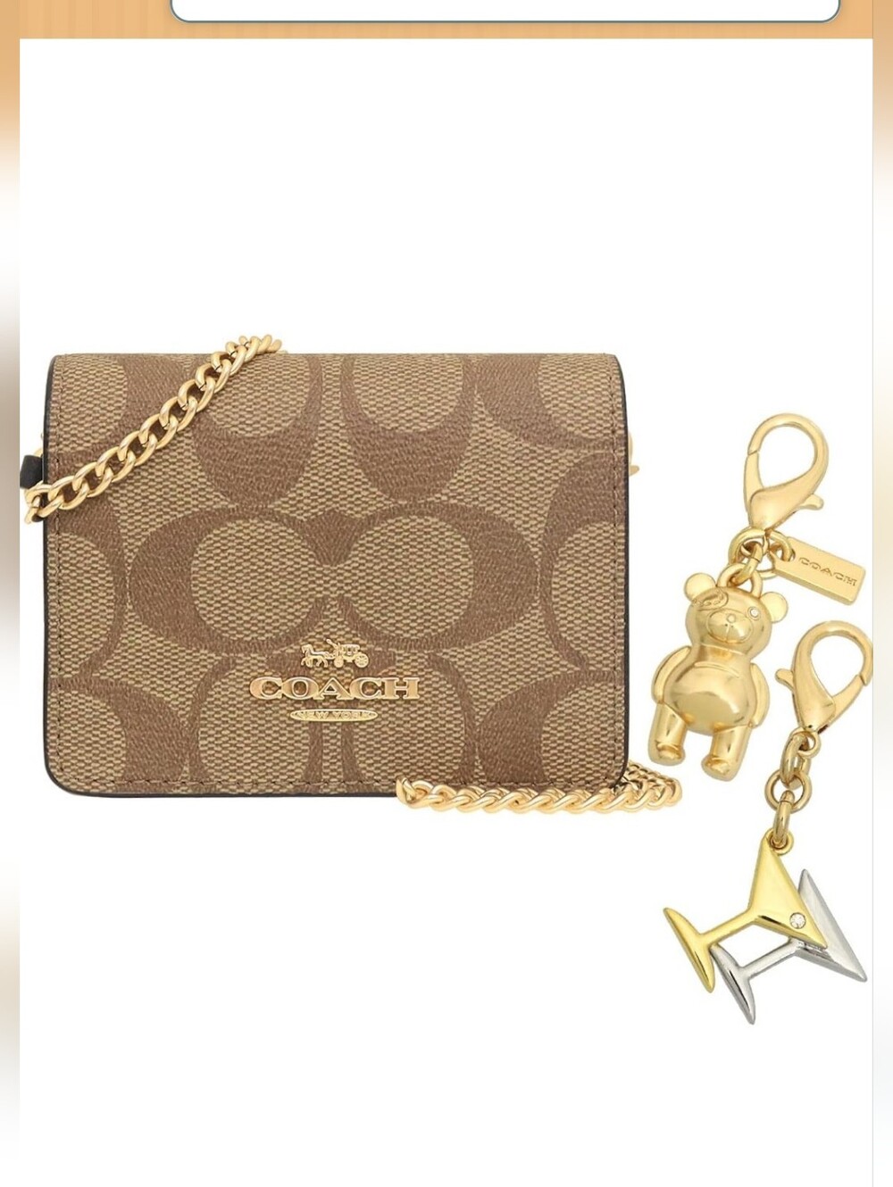 Coach Boxed Mini Wallet On A Chain In Blocked Signature Canvas With Charms